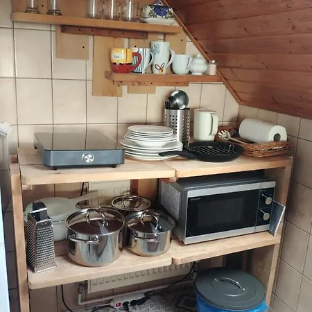 Panorama Проживание в семье *