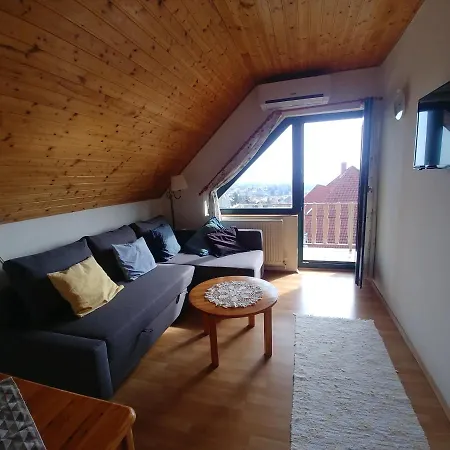 Panorama Проживание в семье *