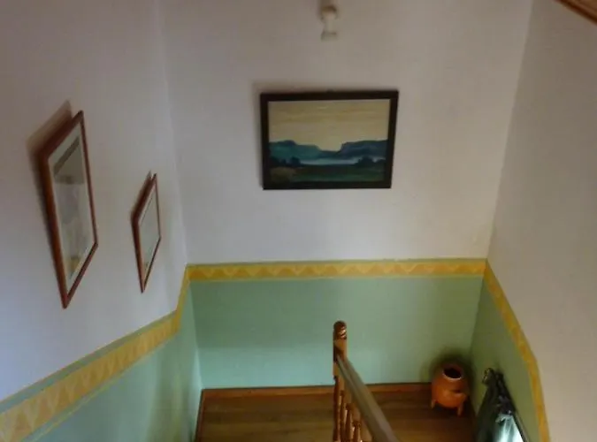 Panorama *